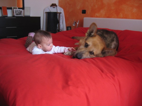 Immagine