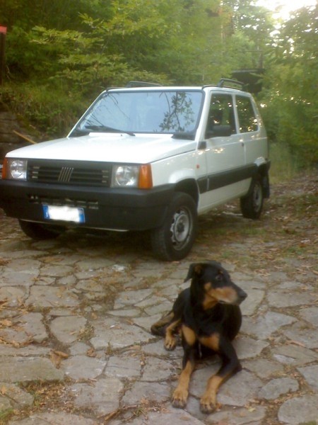 Immagine