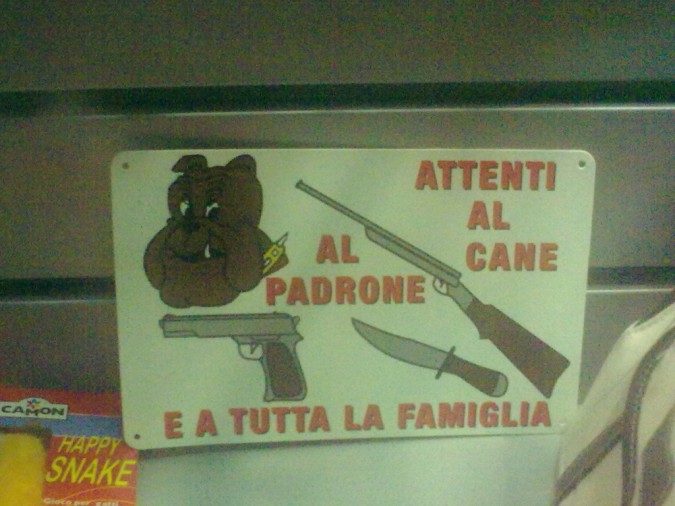 Immagine
