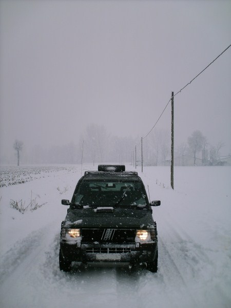 Immagine