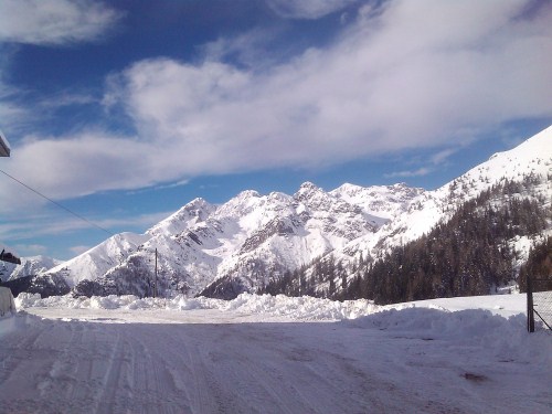 Immagine