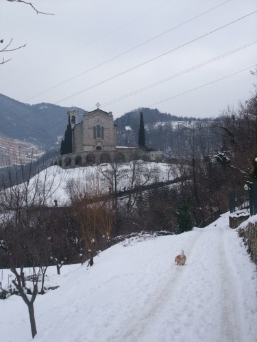 Immagine
